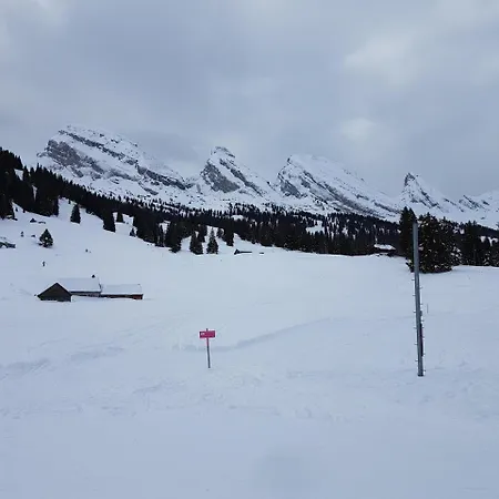 公寓 Stofel 2078 安特瓦塞尔