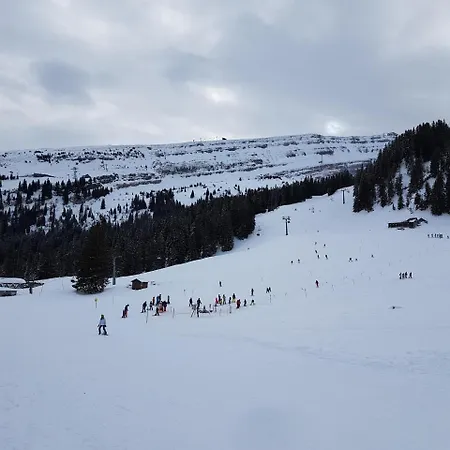 Stofel 2078 安特瓦塞尔