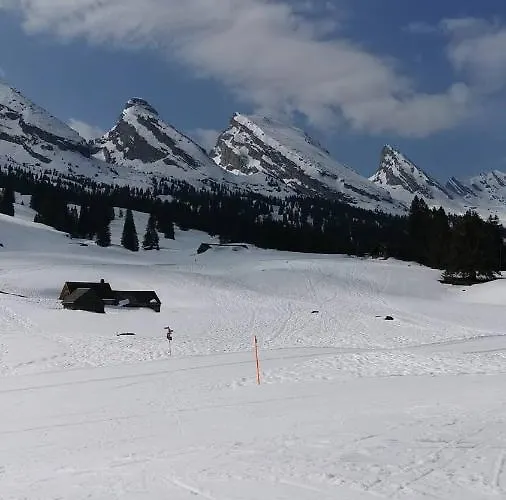 Stofel 2078 انترواسر