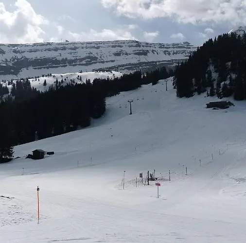 Stofel 2078 * انترواسر