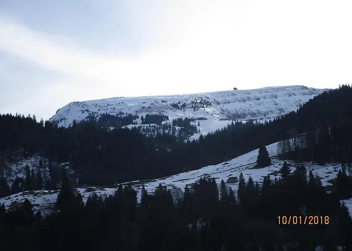 Stofel 2078 * انترواسر