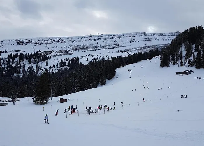 Stofel 2078 انترواسر