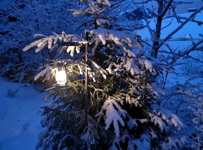 Stofel 2078 انترواسر